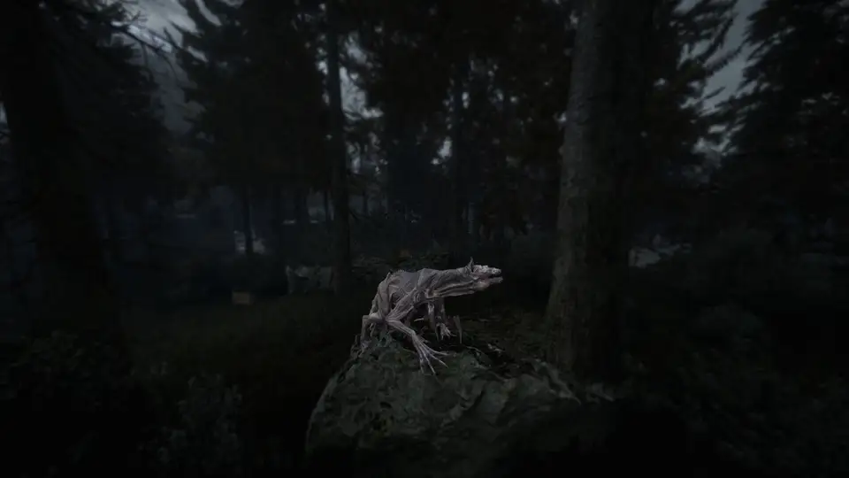 Beautiful Light screenshot 6