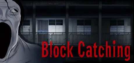 Block Catching cover art