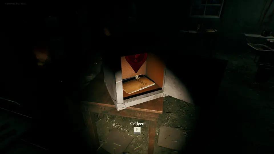 Ashes of the Damned: The Forgotten Ward screenshot 4