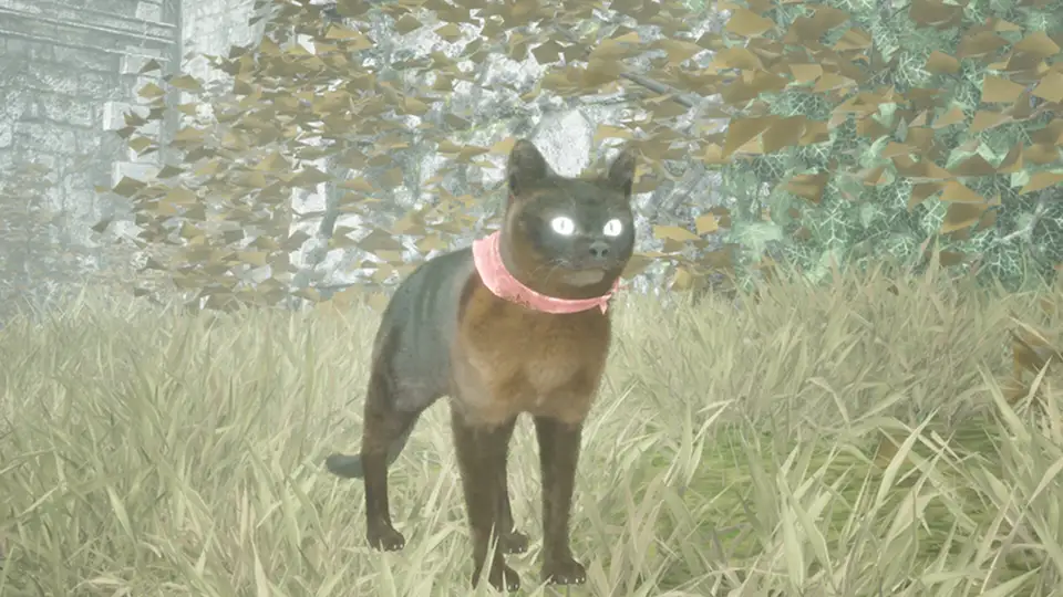 Become A Monarch screenshot 3
