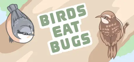 Birds Eat Bugs cover art