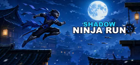 Shadow Ninja Run cover art